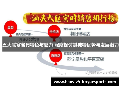 五大联赛各具特色与魅力 深度探讨其独特优势与发展潜力